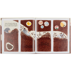 JELLY CAT MUSWELL MOLE AND THE BURIED TREASURE BB JELLYCAT