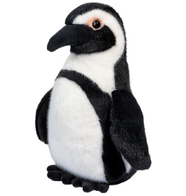 DOUGLAS COMPANY INC ZURI AFRICAN PENGUIN