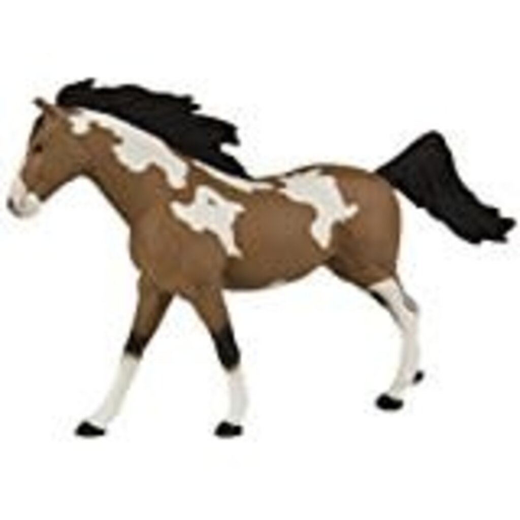 SAFARI SAFARI STALLION