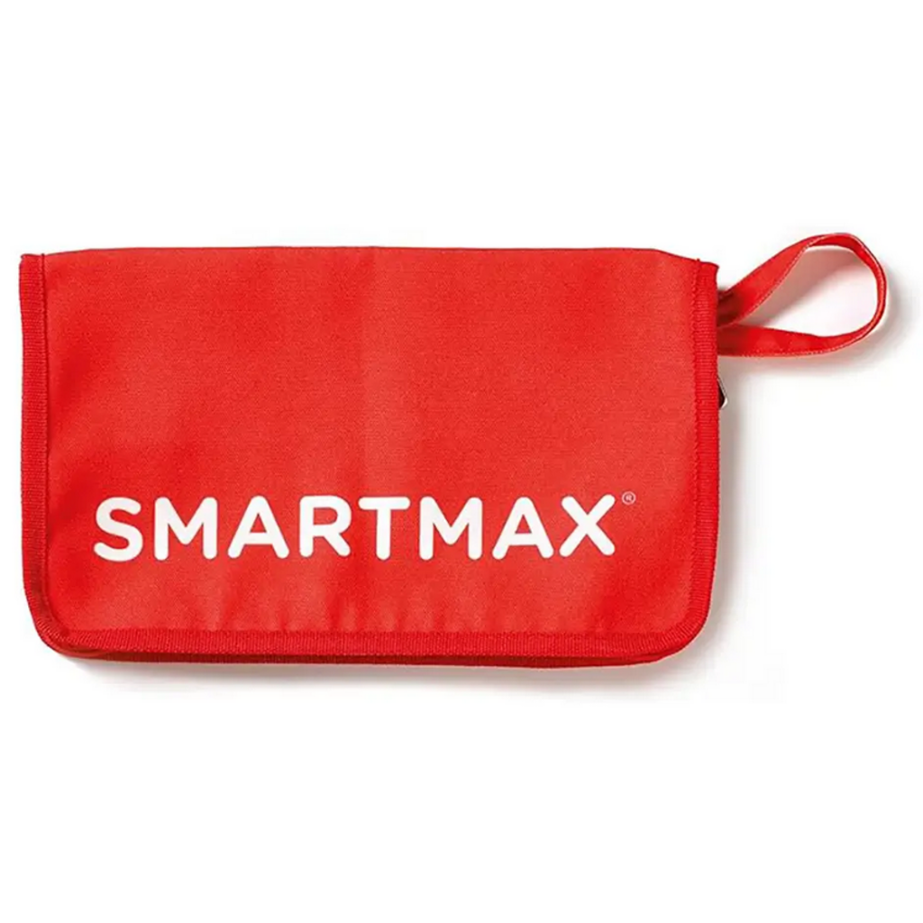 SMART TOYS AND GAMES SMARTMAX MY FIRST ANIMALS OF THE WORLD