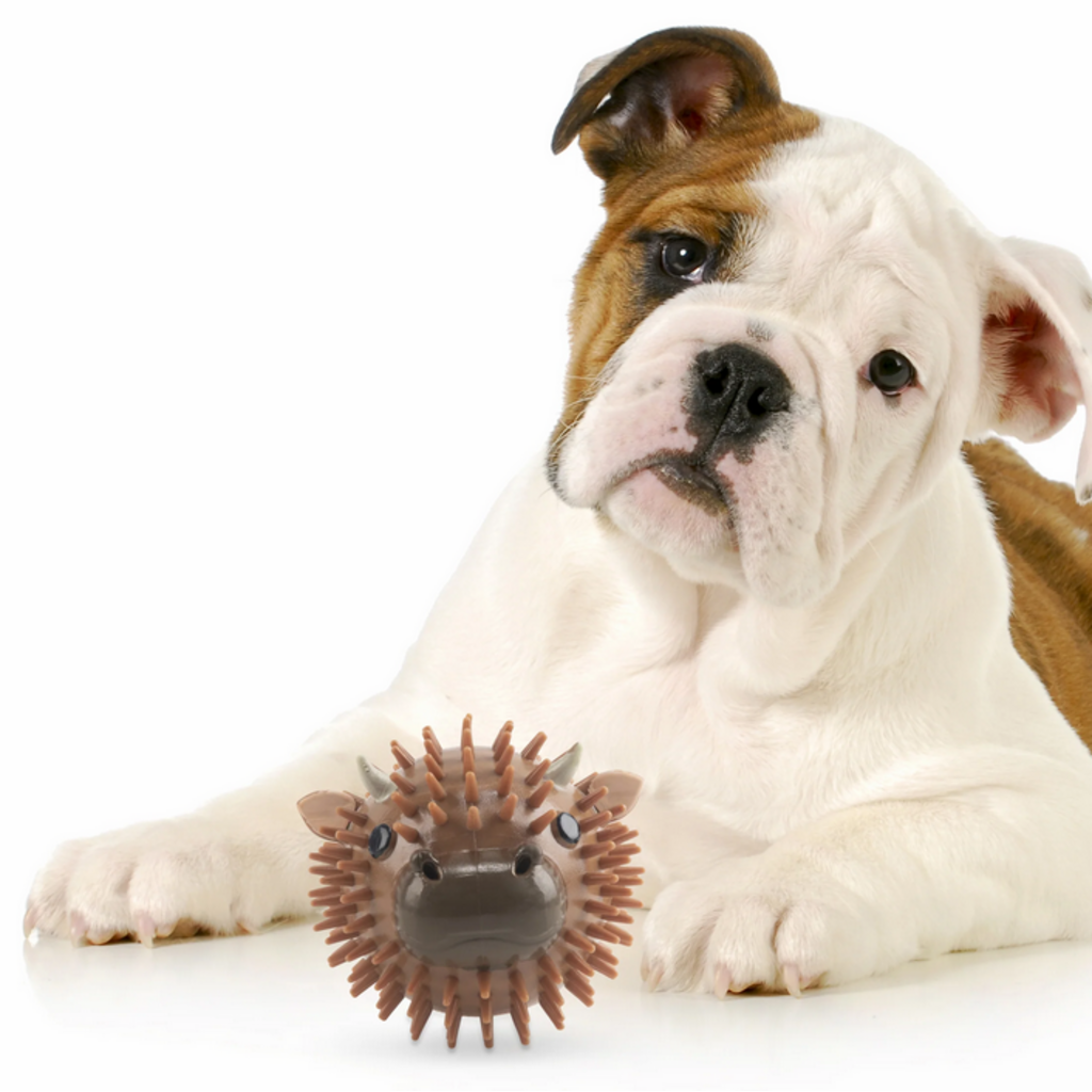 KIKKERLAND DOG BALL