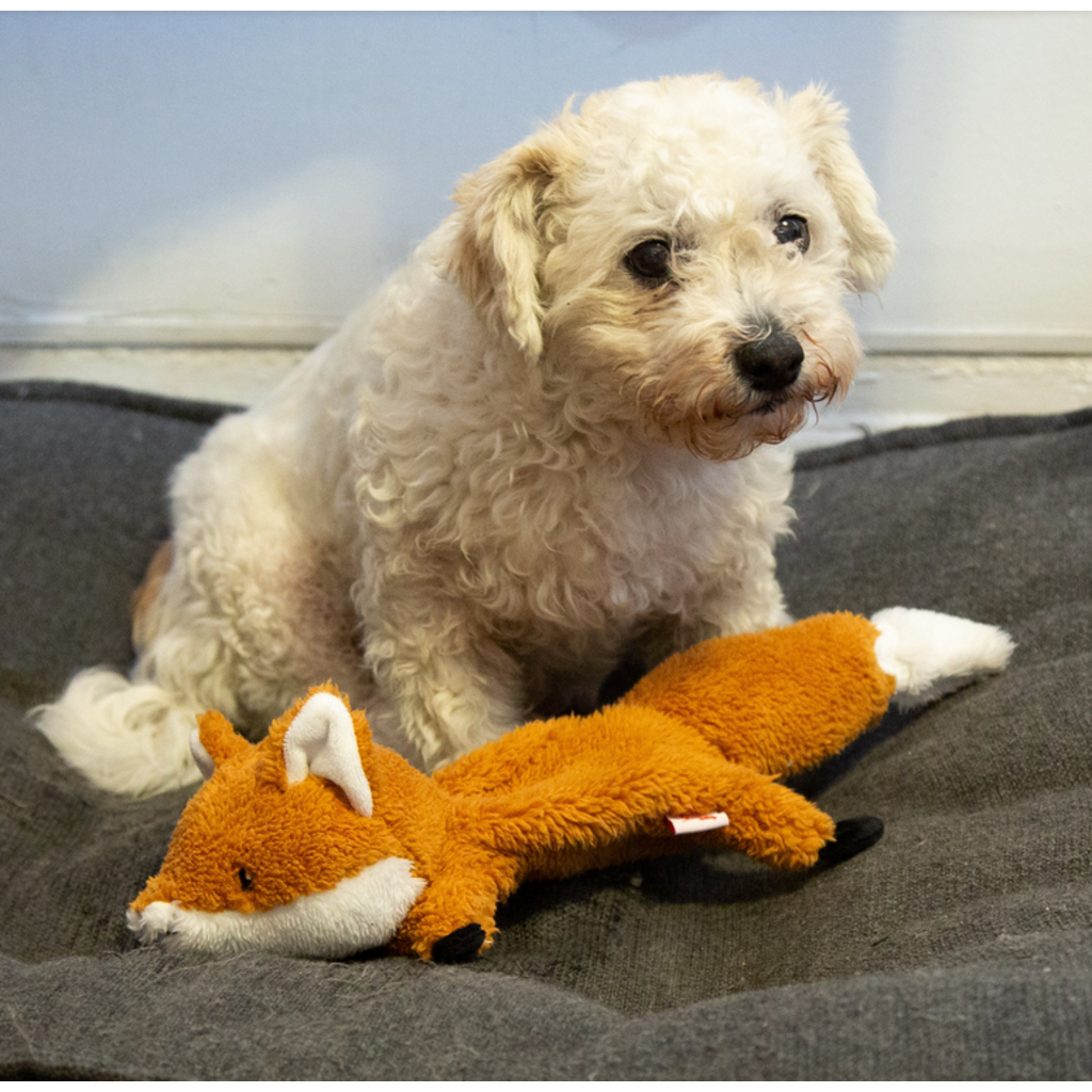 KIKKERLAND FLYING FOX DOG TOY