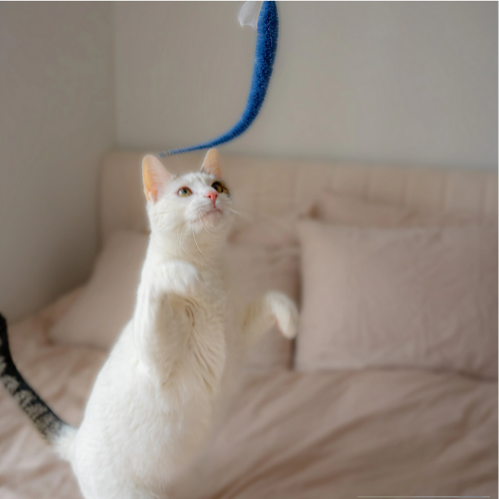 KIKKERLAND KITTY TEASER WAND