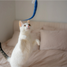 KIKKERLAND KITTY TEASER WAND