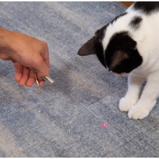 KIKKERLAND RECHARGEABLE LASER POINTER