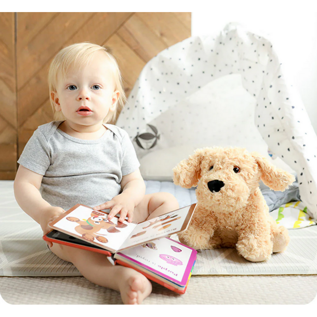 WARMIES WARMIES PLUSH GOLDEN DOG