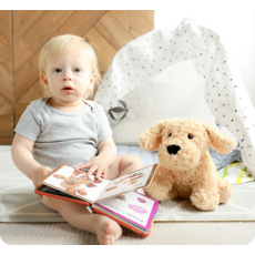 WARMIES WARMIES PLUSH GOLDEN DOG