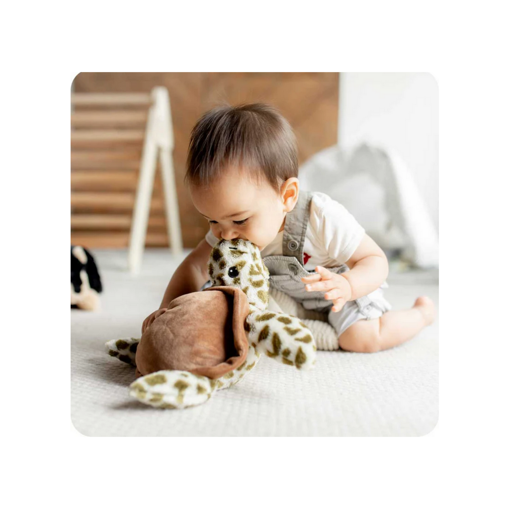 WARMIES WARMIES PLUSH TURTLE