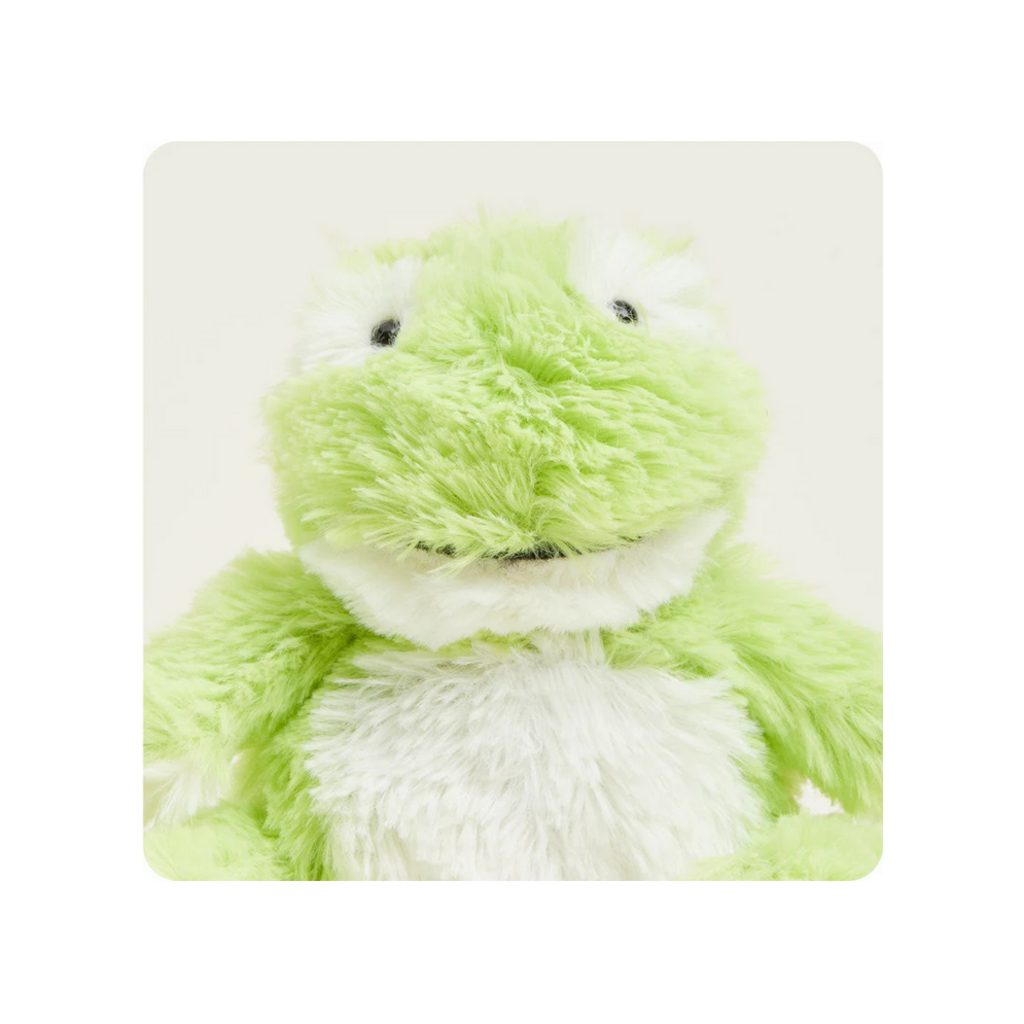 WARMIES WARMIES JUNIOR PLUSH FROG