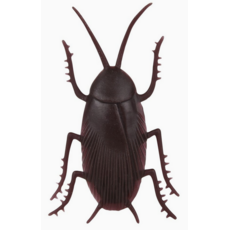 THE TOY NETWORK SPEEDY COCKROACH