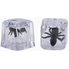 THE TOY NETWORK BUGS IN ICE