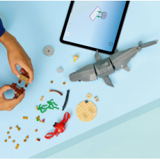 LEGO FIERCE SHARK WITH A TREASURE CHEST