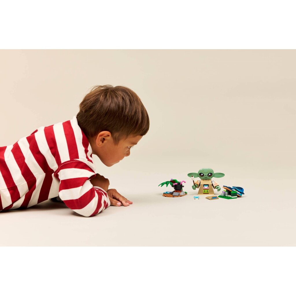 LEGO GROGU'S HOMESTEAD