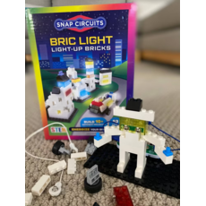 SNAP CIRCUITS BRIC LIGHT