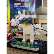 SNAP CIRCUITS BRIC LIGHT