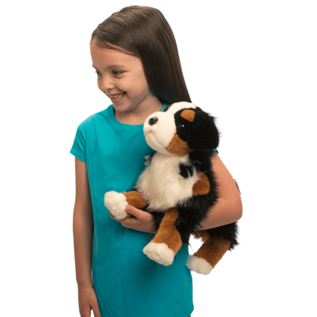 DOUGLAS COMPANY INC TREVOR BERNESE MOUNTAIN DOG