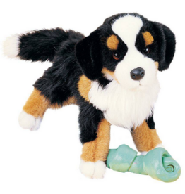 DOUGLAS COMPANY INC TREVOR BERNESE MOUNTAIN DOG