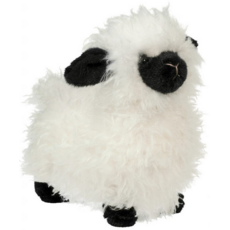 DOUGLAS COMPANY INC SHILOH SHEEP