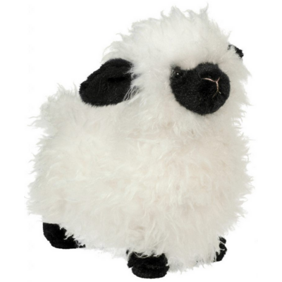 DOUGLAS COMPANY INC SHILOH SHEEP