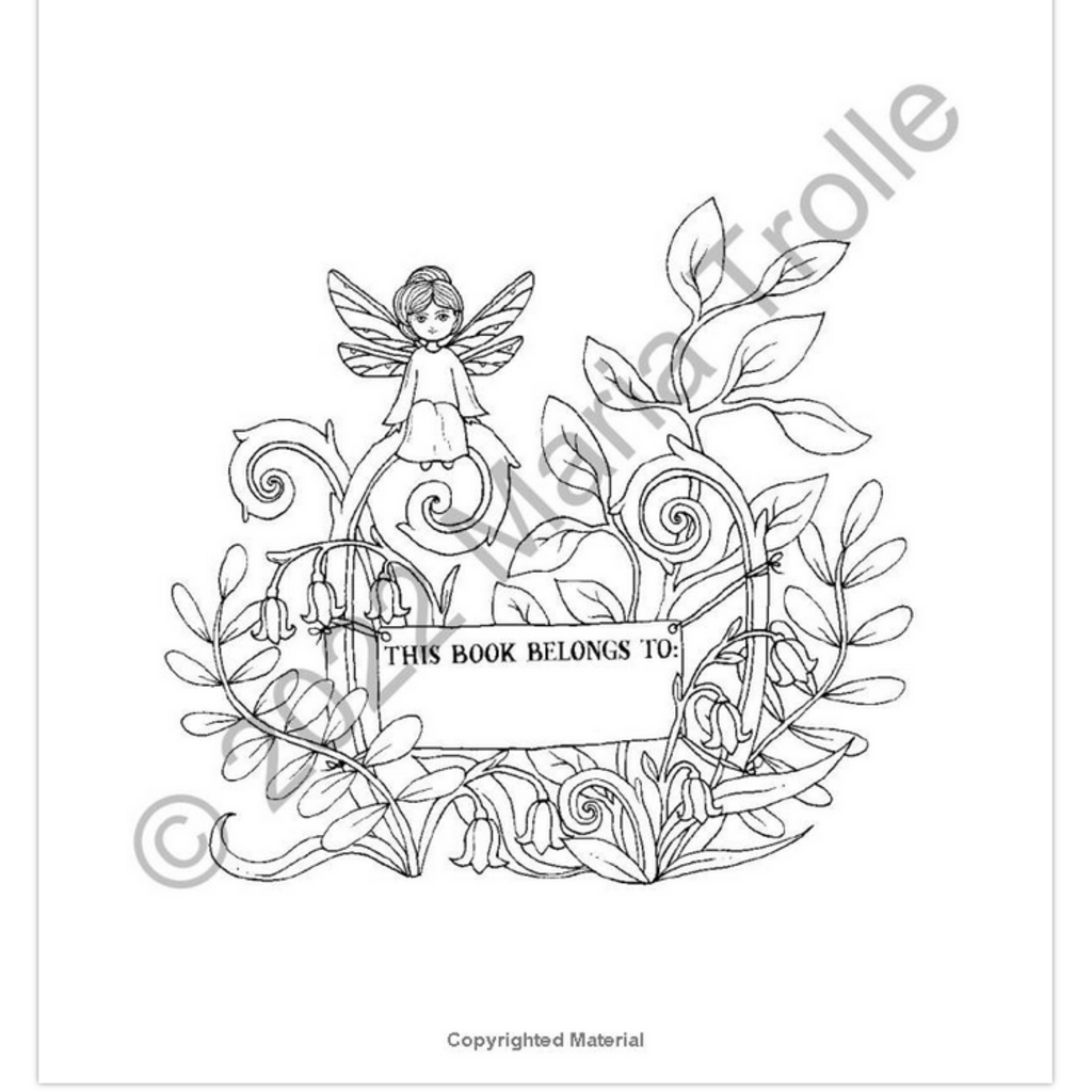 GIBBS SMITH MOON VALLEY COLORING BOOK HB TROLLE