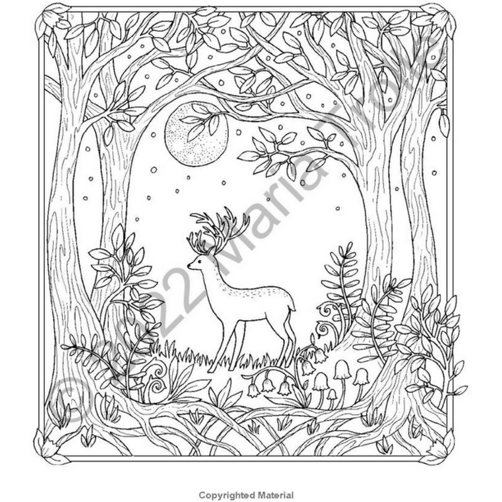 GIBBS SMITH MOON VALLEY COLORING BOOK HB TROLLE