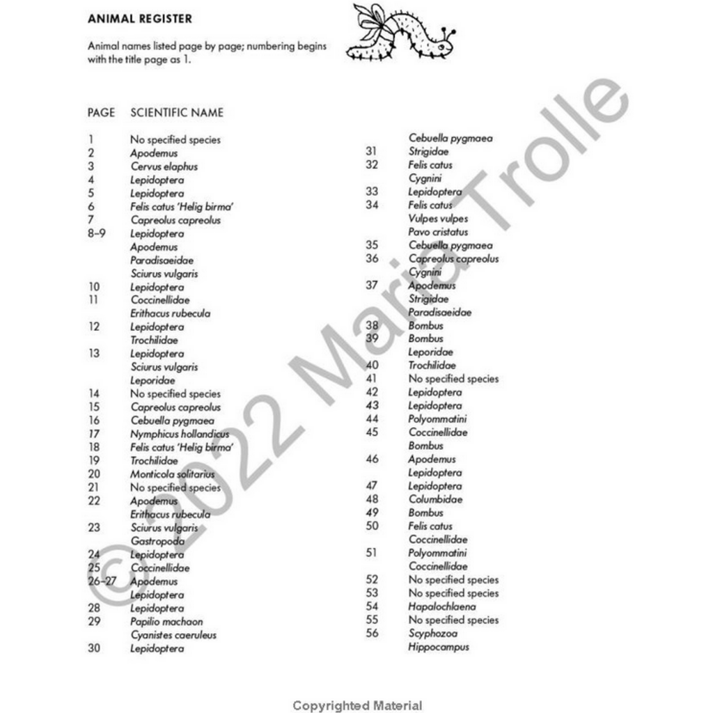 GIBBS SMITH MOON VALLEY COLORING BOOK HB TROLLE