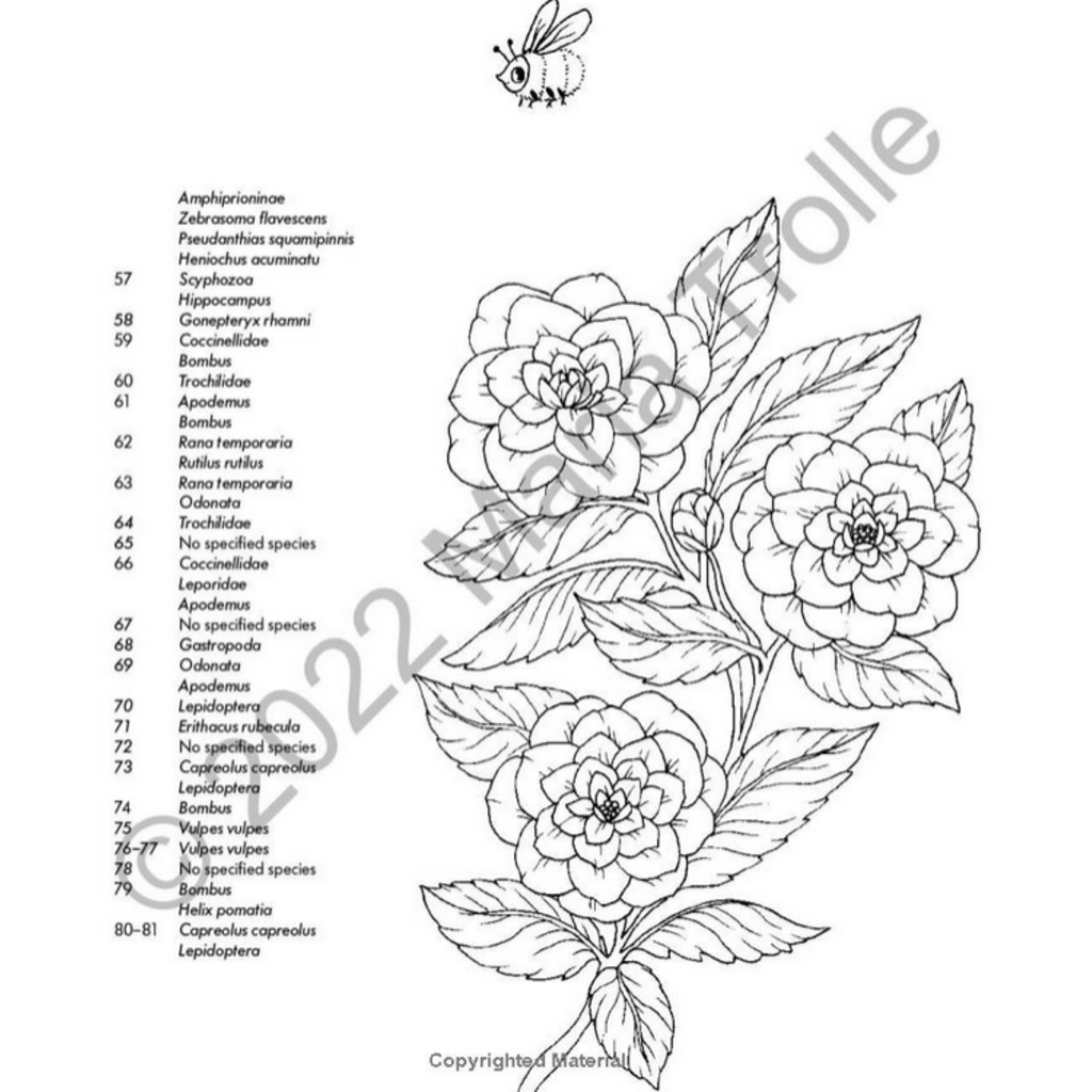 GIBBS SMITH MOON VALLEY COLORING BOOK HB TROLLE