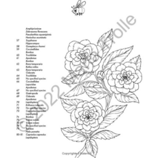 GIBBS SMITH MOON VALLEY COLORING BOOK HB TROLLE