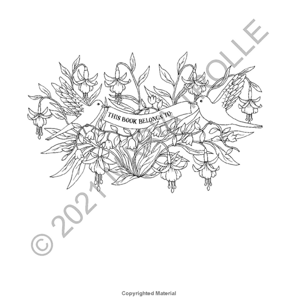 GIBBS SMITH LUNA COLORING BOOK HB TROLLE