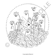 GIBBS SMITH LUNA COLORING BOOK HB TROLLE