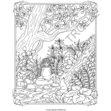 GIBBS SMITH LUNA COLORING BOOK HB TROLLE