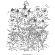 GIBBS SMITH LUNA COLORING BOOK HB TROLLE