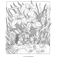 GIBBS SMITH LUNA COLORING BOOK HB TROLLE