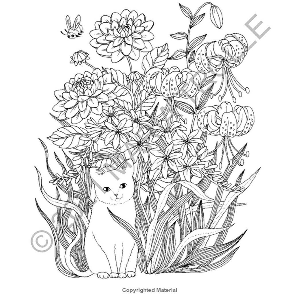 GIBBS SMITH LUNA COLORING BOOK HB TROLLE