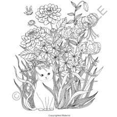 GIBBS SMITH LUNA COLORING BOOK HB TROLLE