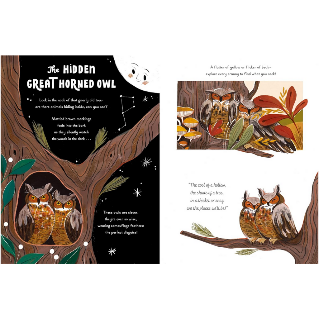 HARRY N ABRAMS 5-MINUTE NATURE STORIES HB DAWNAY