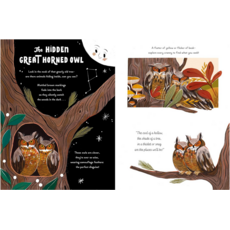 HARRY N ABRAMS 5-MINUTE NATURE STORIES HB DAWNAY