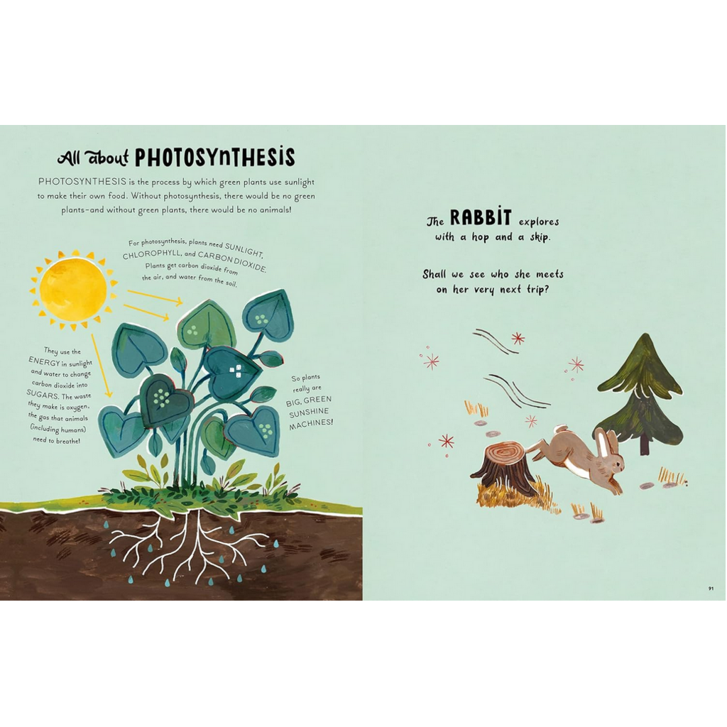 HARRY N ABRAMS 5-MINUTE NATURE STORIES HB DAWNAY