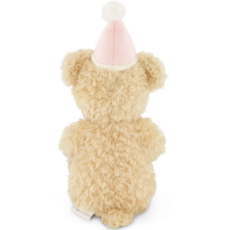 ARTHUR BIRTHDAY BEAR FAIRY