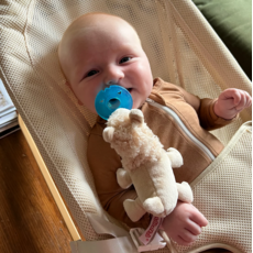 AURORA WUBBANUB PACIFIER BABY LLAMA