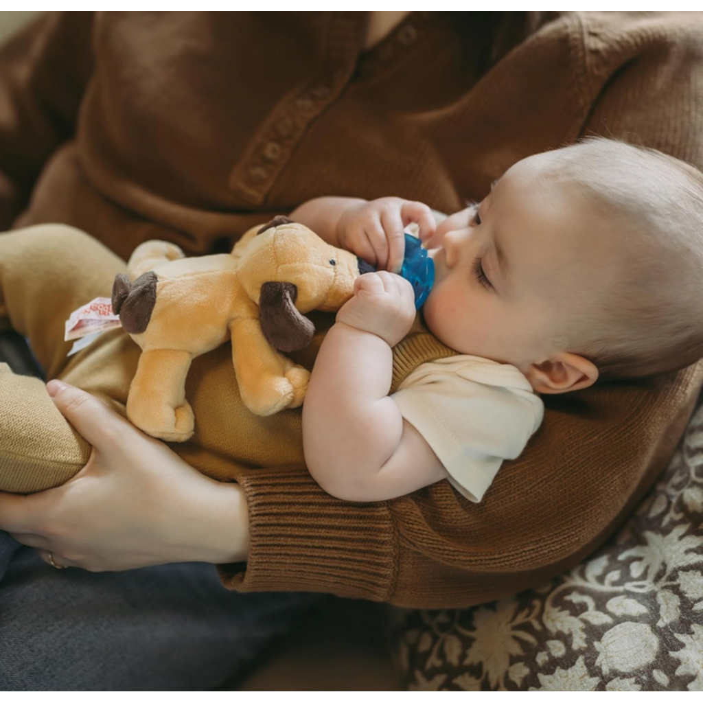 AURORA WUBBANUB PACIFIER BROWN PUPPY