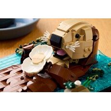 LEGO FLOATING SEA OTTERS