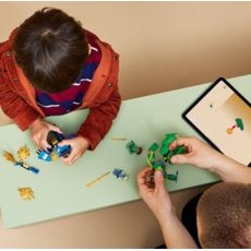 JAY'S DRAGON MECH FIGHT