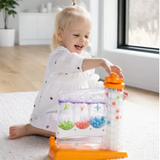 FAT BRAIN TOYS SORTAGAIN