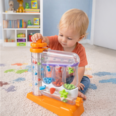 FAT BRAIN TOYS SORTAGAIN