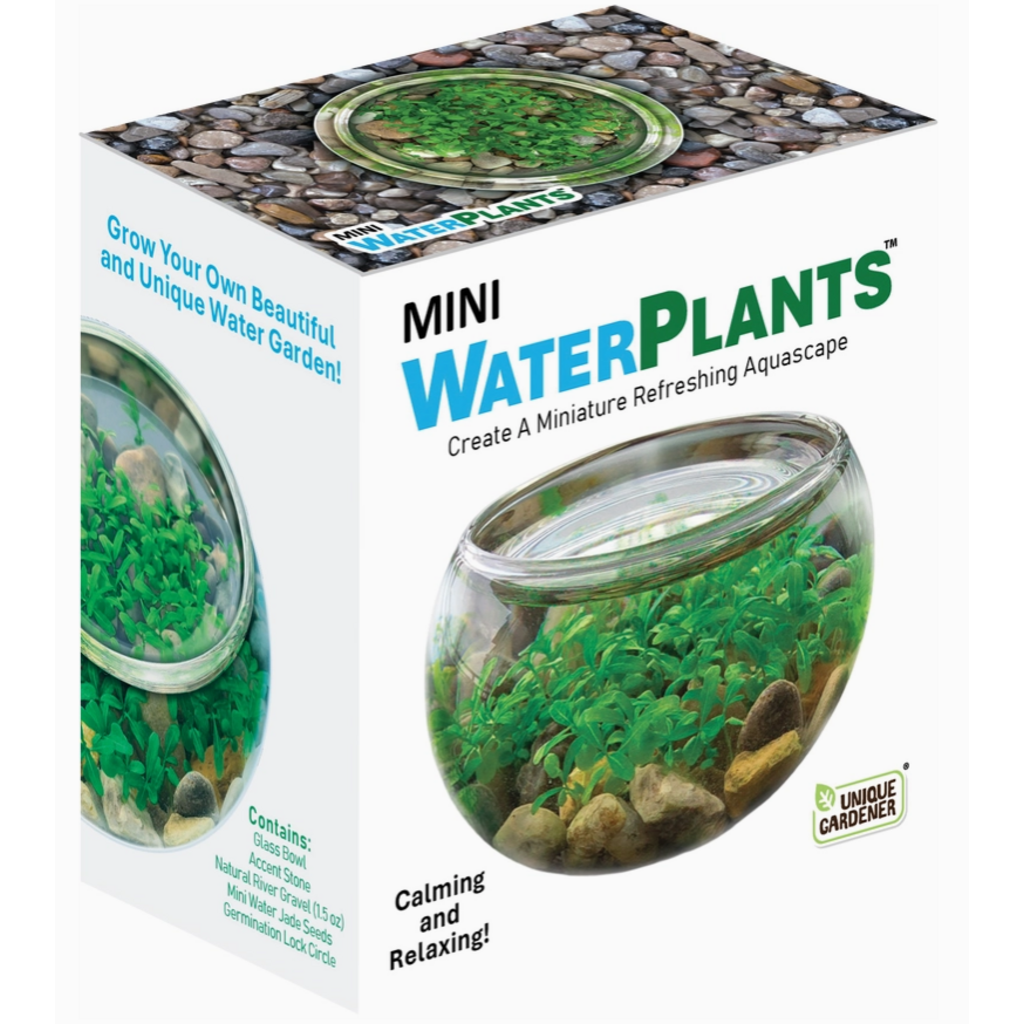 SILVER CIRCLE MINI WATERPLANTS