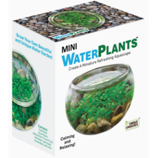 SILVER CIRCLE MINI WATERPLANTS