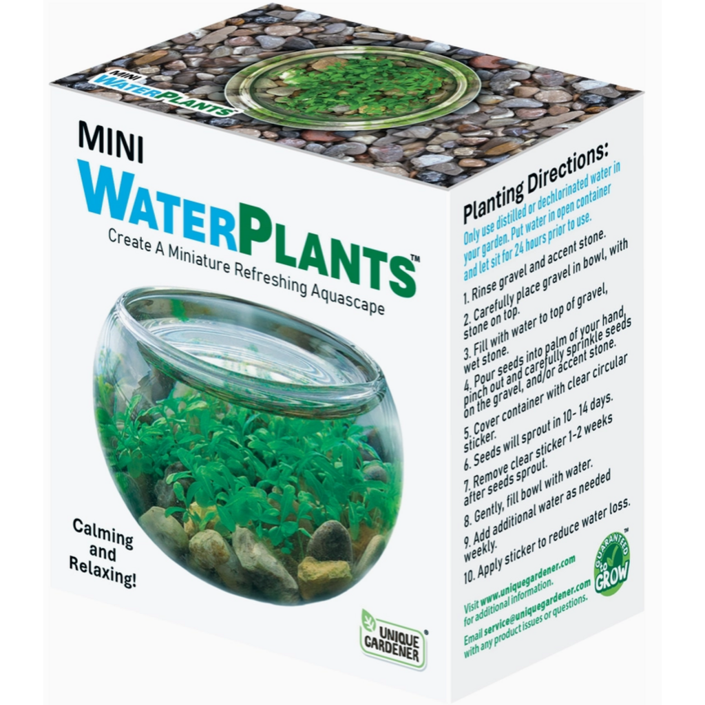 SILVER CIRCLE MINI WATERPLANTS