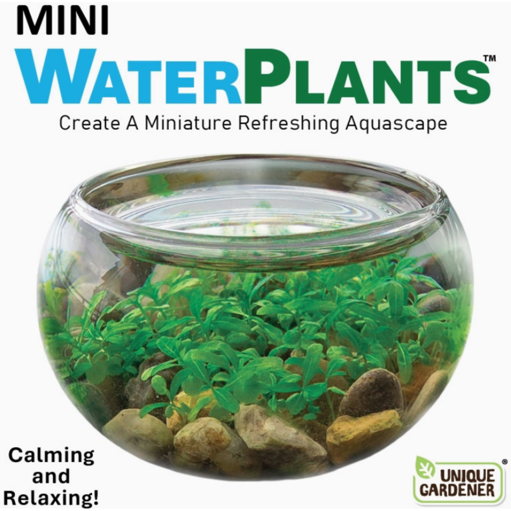 SILVER CIRCLE MINI WATERPLANTS