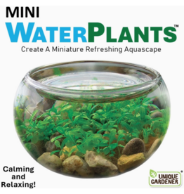 SILVER CIRCLE MINI WATERPLANTS